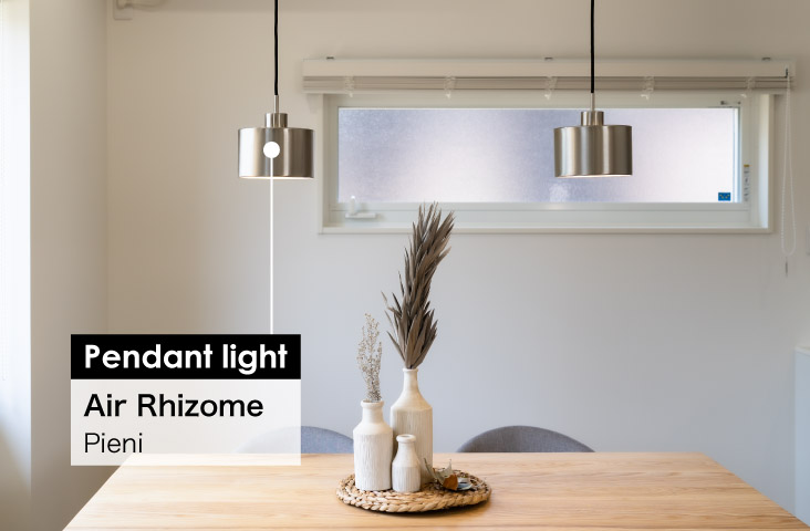 Air Rhizome